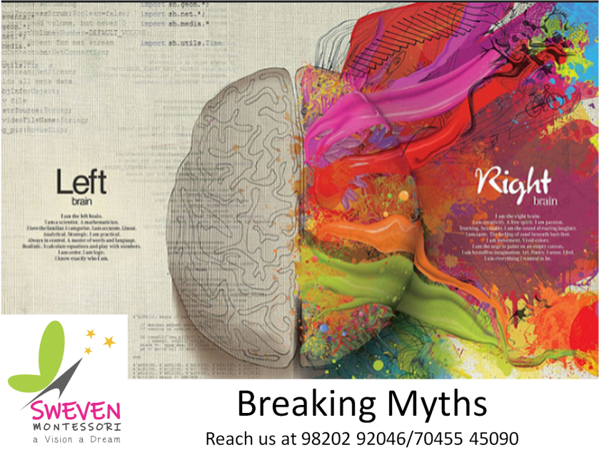 Left brain or Right brain thinkers? – Sweven Montessori Blog